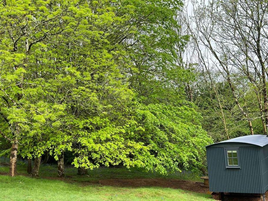 Cornwall Woodland Shepherd'S Hut Deirdres Hut Bodmin Kültér fotó