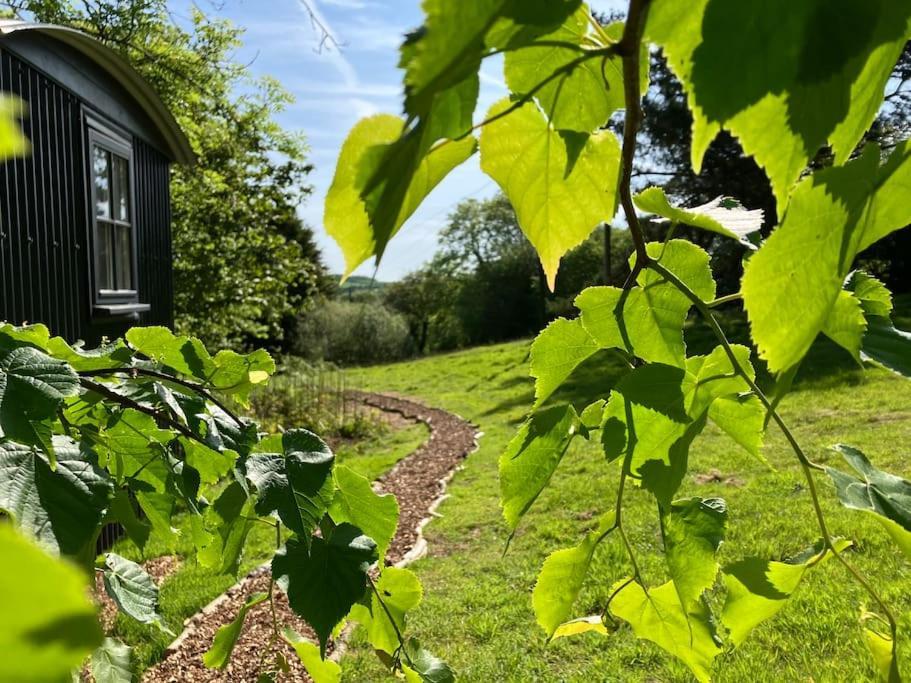 Cornwall Woodland Shepherd'S Hut Deirdres Hut Bodmin Kültér fotó