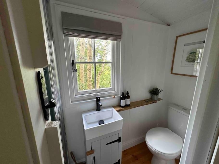 Cornwall Woodland Shepherd'S Hut Deirdres Hut Bodmin Kültér fotó