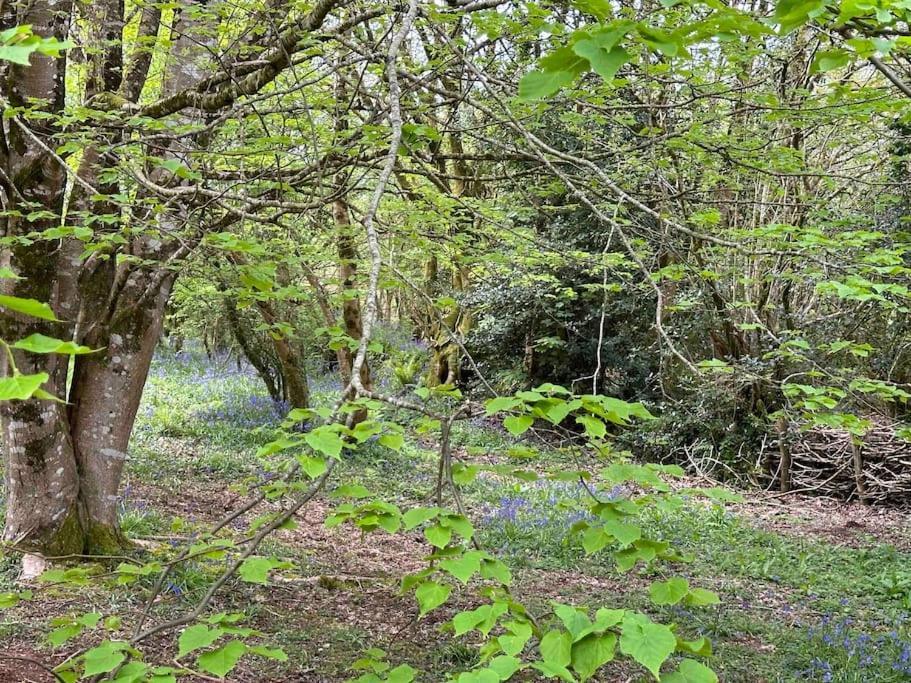 Cornwall Woodland Shepherd'S Hut Deirdres Hut Bodmin Kültér fotó